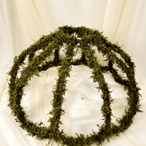 Lampenschirm mit Moos