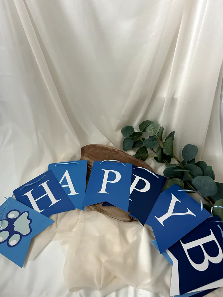 Paw Patrol Girlande Happy Birthday